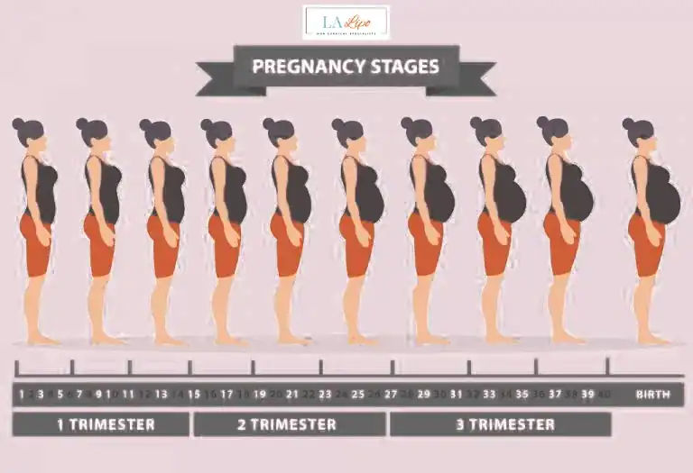 First Trimester (Weeks 1–12): Early Changes You Might Not Notice Northolt